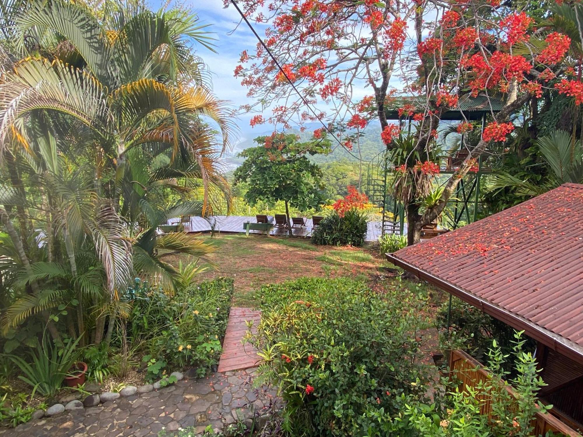Pacific Edge Eco Lodge Dominical Exteriér fotografie